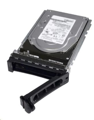 Obrázek DELL HDD 1TB Hard Drive SATA 6Gbps 7.2K 512n 3.5in Cabled Customer Kit - R250