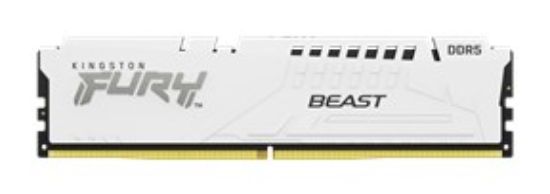 Obrázek KINGSTON DIMM DDR5 32GB 5200MT/s CL36 FURY Beast Bílá EXPO