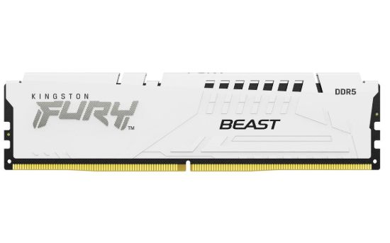 Obrázek KINGSTON DIMM DDR5 16GB 6400MT/ s CL32 ECC FURY Beast EXPO Bílá
