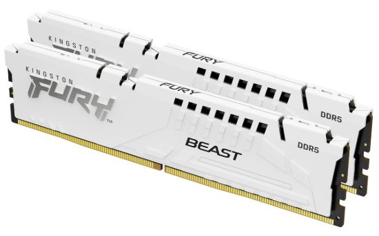 Obrázek KINGSTON DIMM DDR5 64GB (Kit of 2) 6400MT/ s CL32 ECC FURY Beast EXPO Bílá