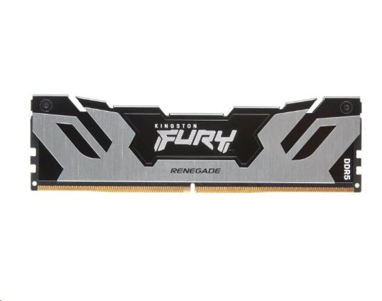 Obrázek KINGSTON DIMM DDR5 24GB 8000MT/ s CL38 FURY Renegade Silver