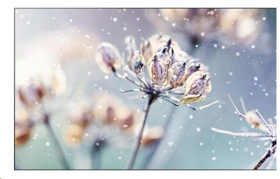 Obrázek SAMSUNG LFD 46" - LH46VMTUBGBXEN - Video wall