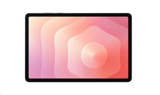 Obrázek Samsung Galaxy Tab S11 (Wi-Fi) 12GB/128GB šedý, EU