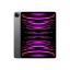 Obrázek APPLE iPad Pro 11" Wi-Fi + Cellular 256GB - Space Black 2024